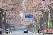 杭州共建“花园城市” 北京这场议政会“百花齐放”
